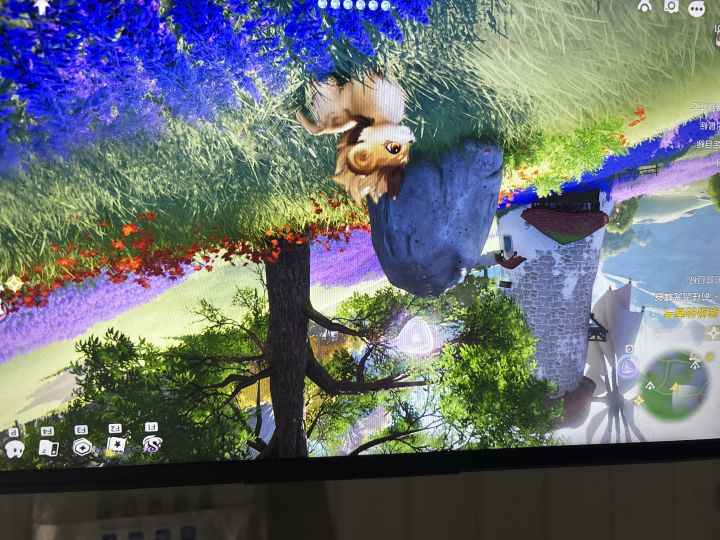 琥珀截图