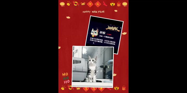 赤 秘 技 · 百 机 操 演 ！截图