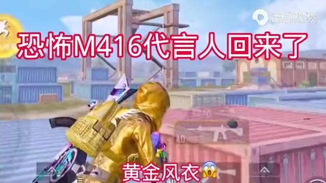 那个把M416带上巅峰的人回来了,还有人记得我吗!截图