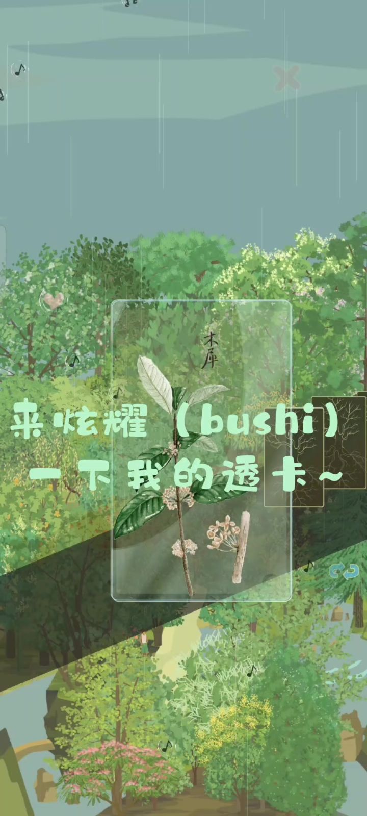 透卡展示截图
