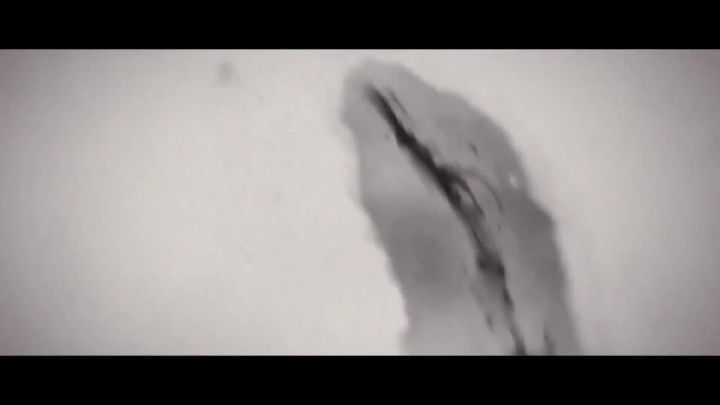 【二区昆仑联盟】截图