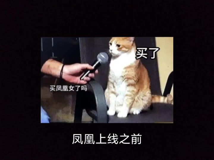 无解法坦！凤凰女套路开发教学！截图