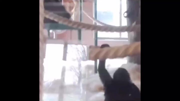 忍了很久 还是真香 这红牛随手52就离谱我感觉我又彳亍了截图