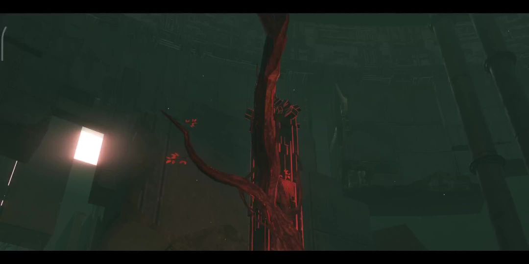 video-1896981