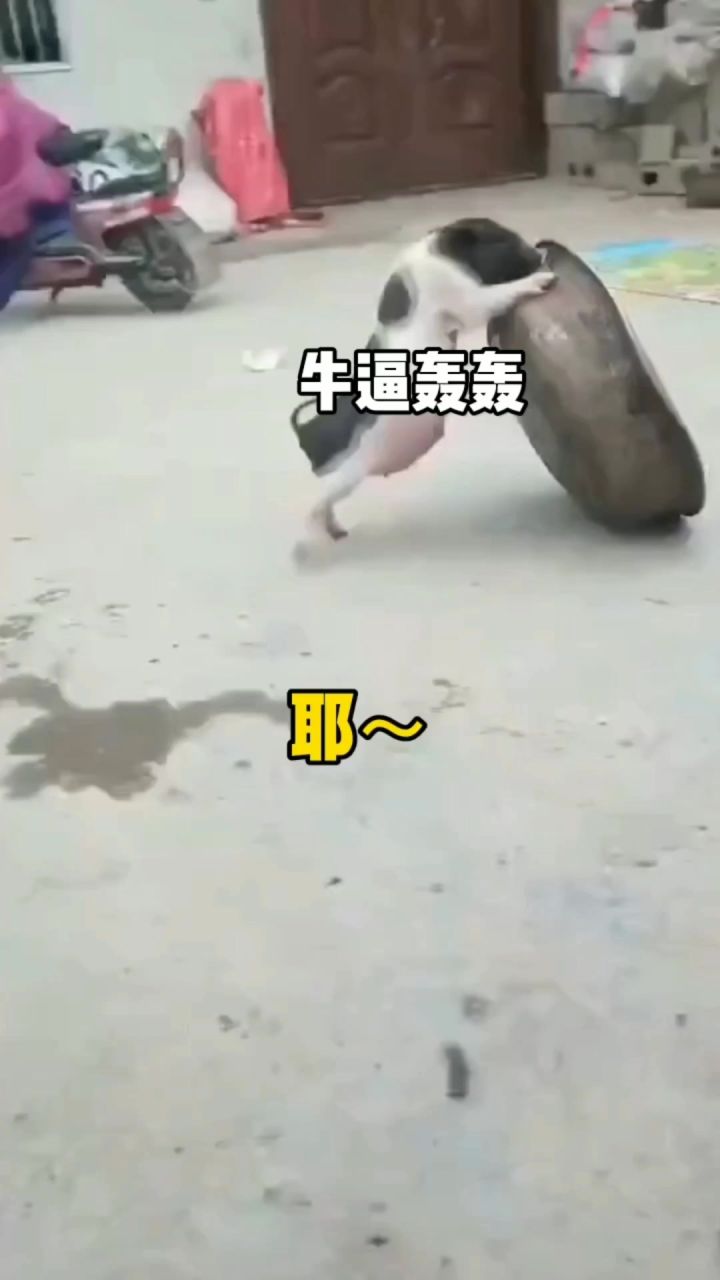 😝😝😝截图