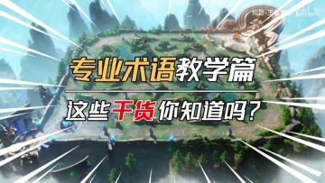 【王者荣耀】《专业术语教学篇》超详细干货讲解！学了你也可以成为游戏大神！