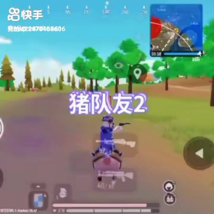 你们遇到过这种队友吗?截图