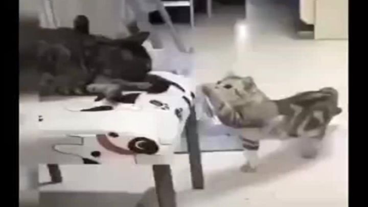 今天最值得一玩的战棋手游铃兰之剑截图