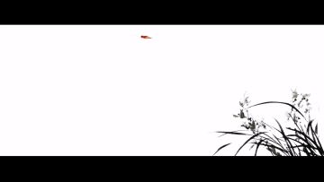 【望月出品】金币Ⅱ2.0详细版攻略