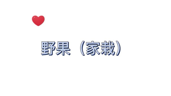 野果（家栽）截图