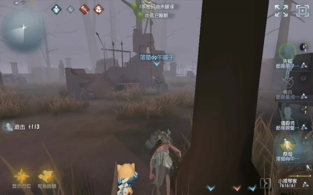 video-2065966