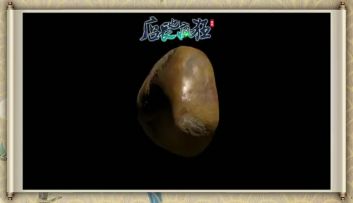 千元天然翡翠免费送！！ 《店长也疯狂》嗨起来！