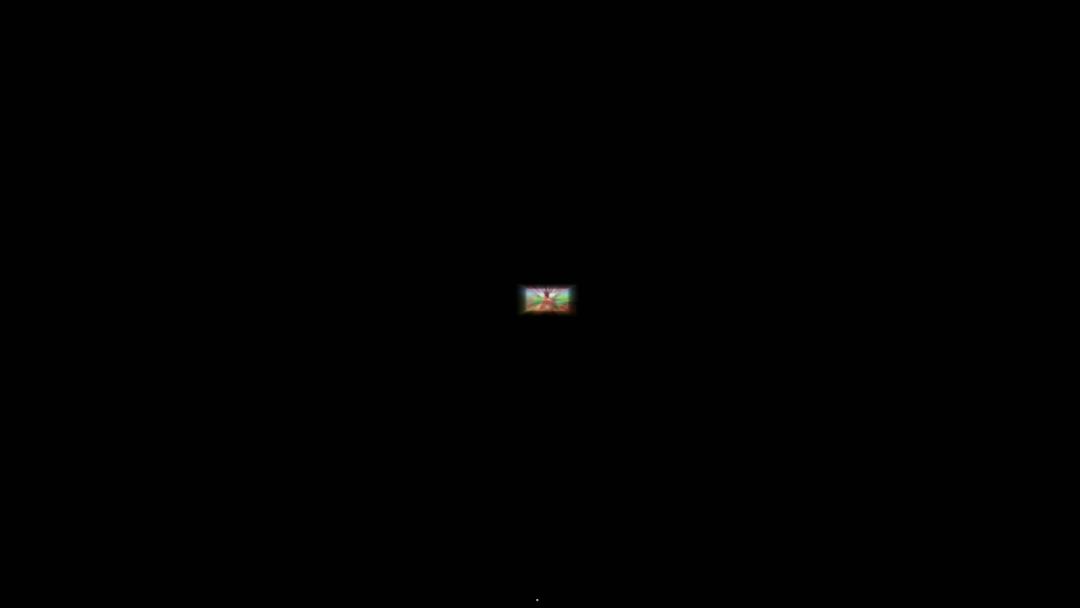 video-2213917