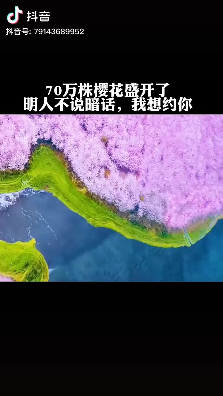 video-2477895