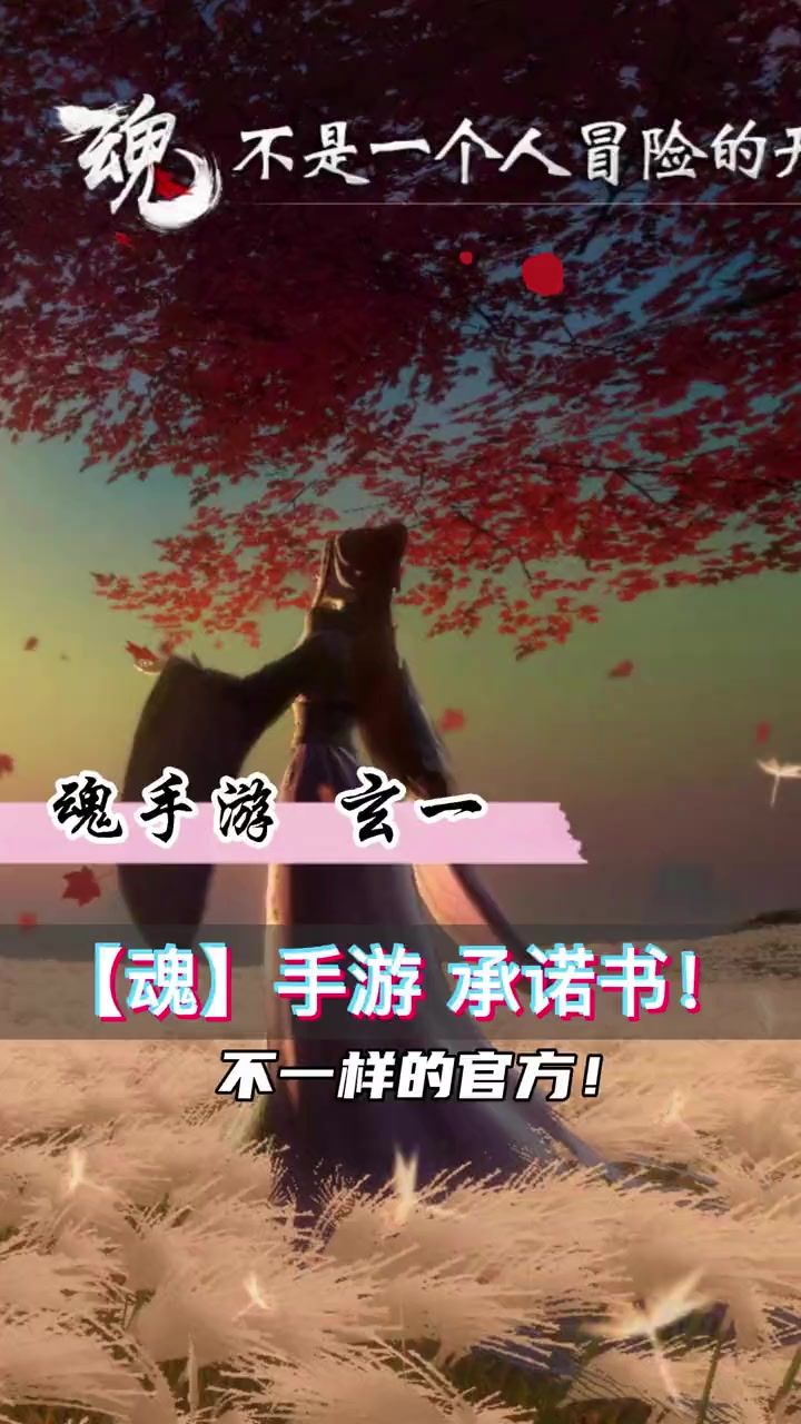 video-2550512