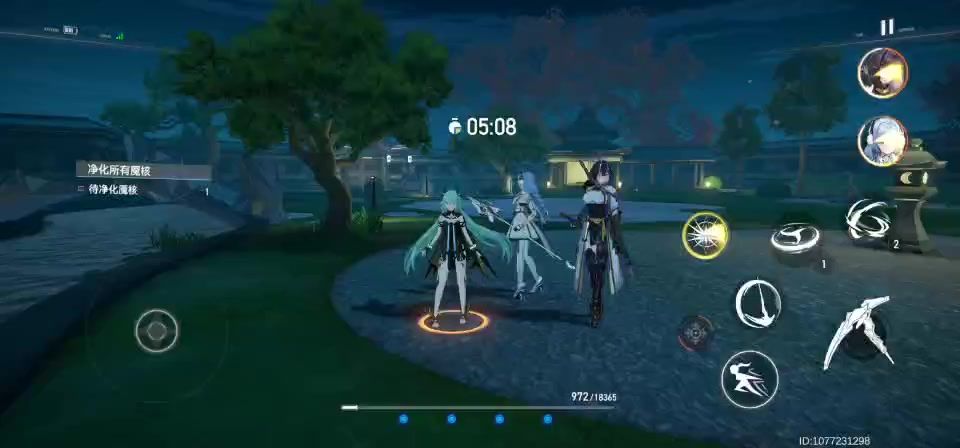 video-2641500