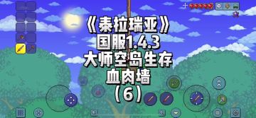 《泰拉瑞亚》国服1.4大师空岛-血肉墙（6）