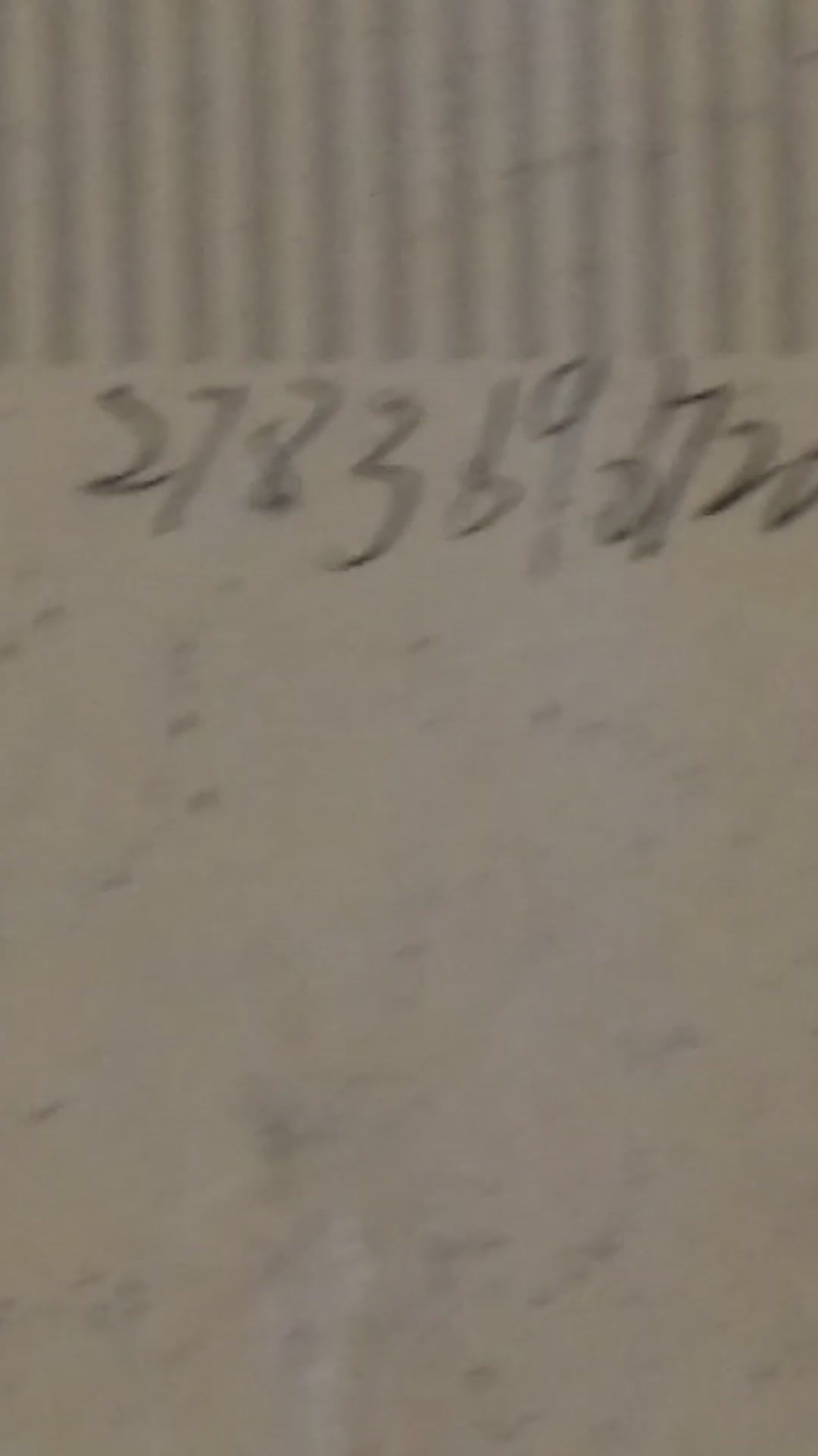 video-3040792