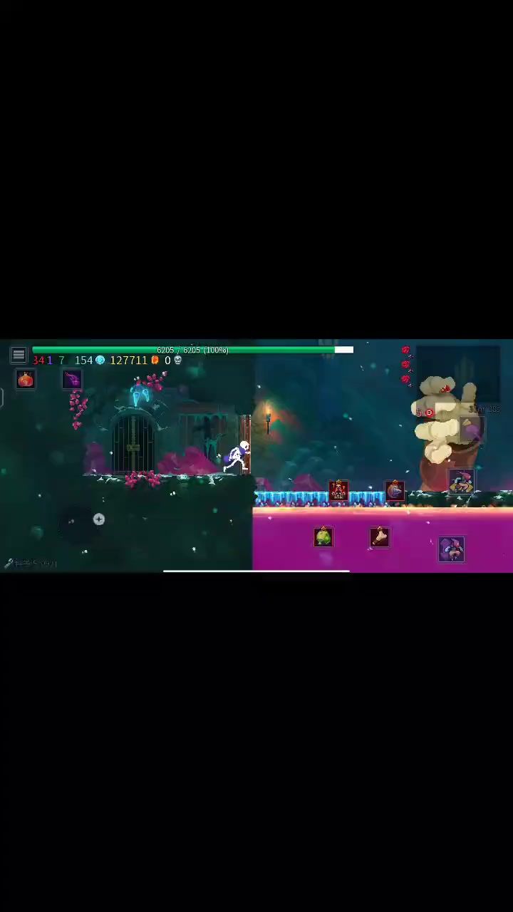 video-3109576