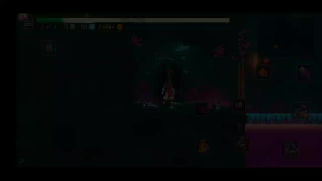 video-3169424