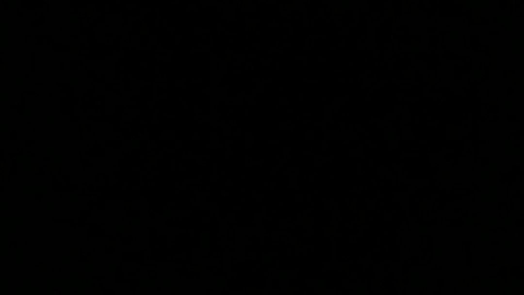 video-3171902
