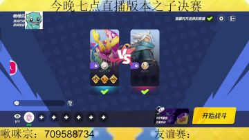 版本之子杯决赛回放