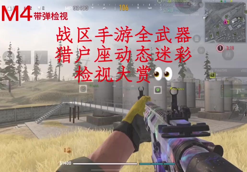 video-3398938