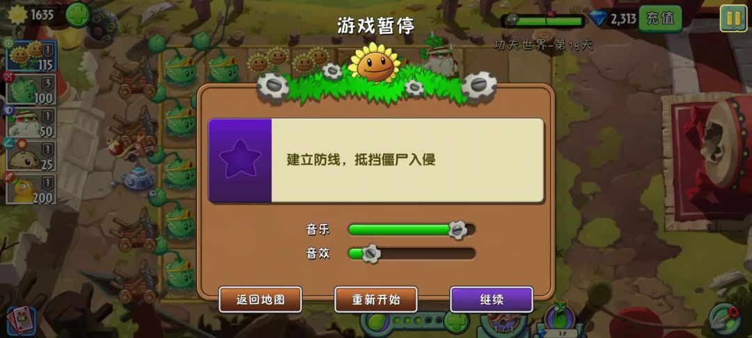 video-3575232