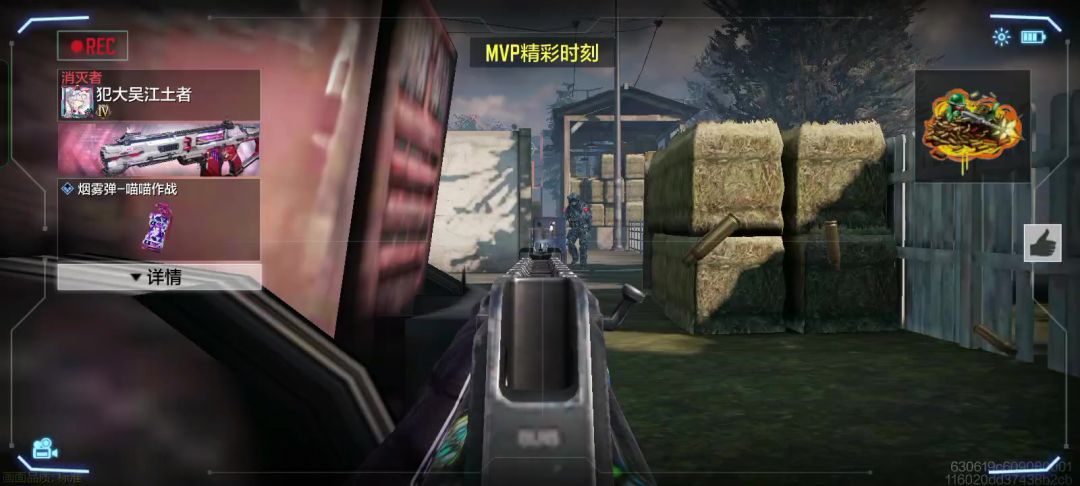 video-3575329