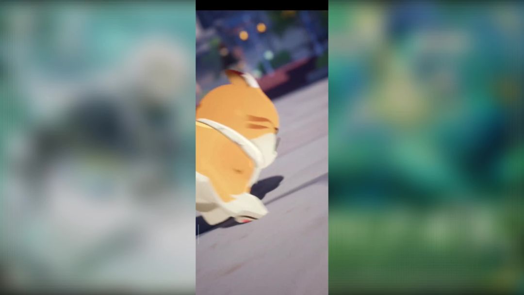 video-3579834