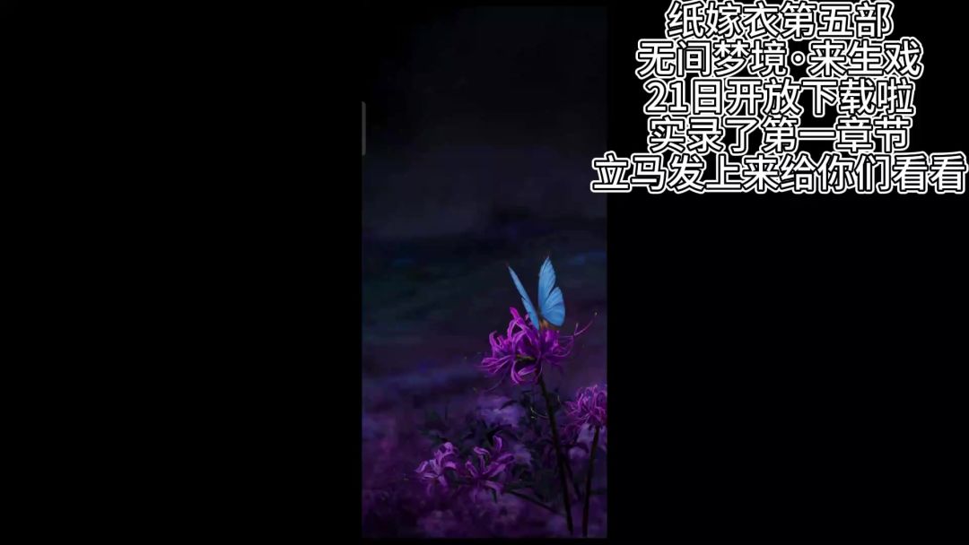 video-3585814