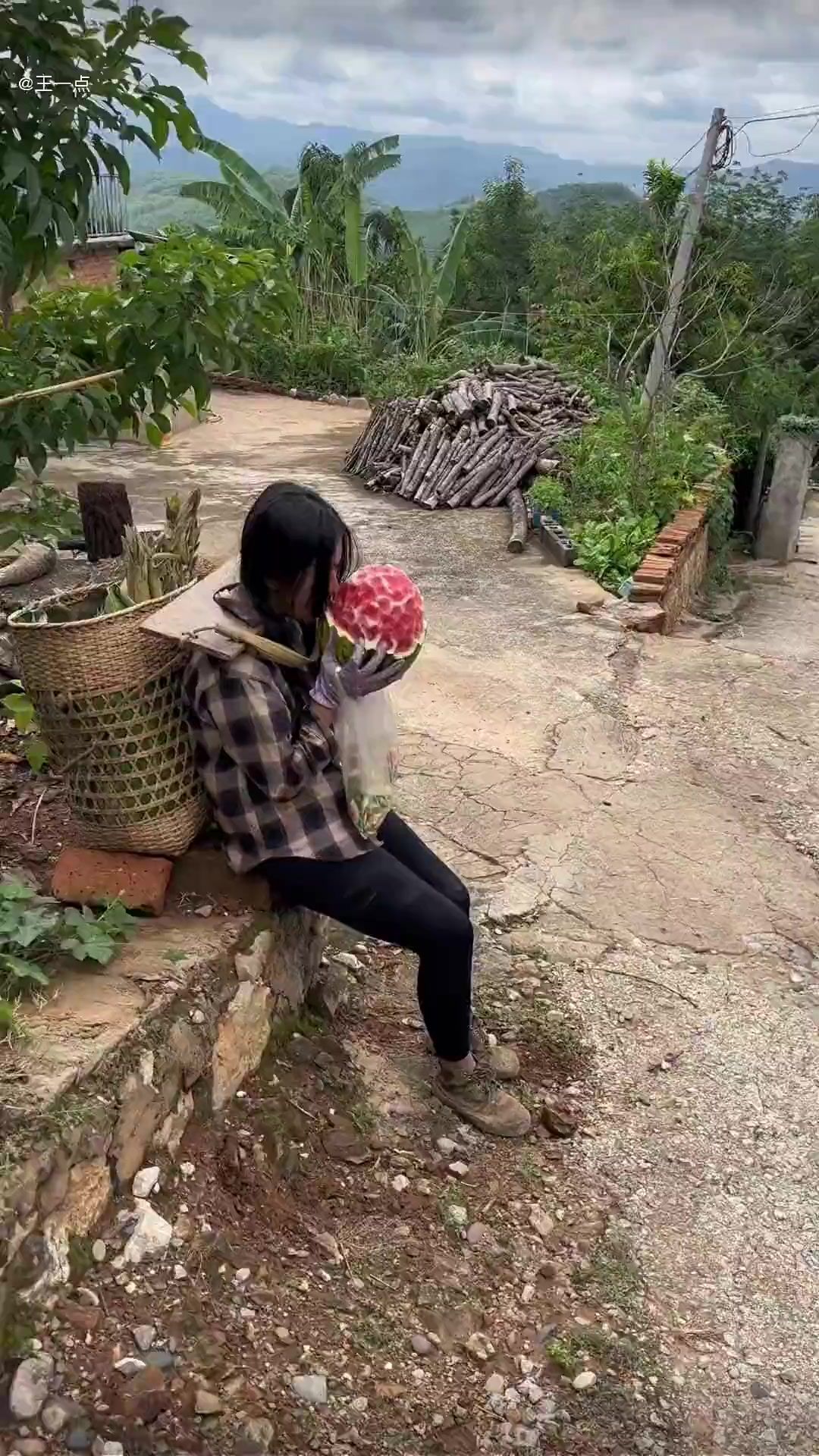 video-3588741