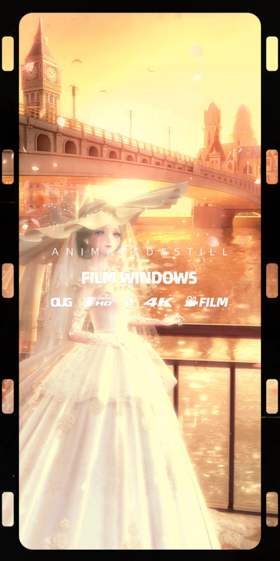 video-3589002