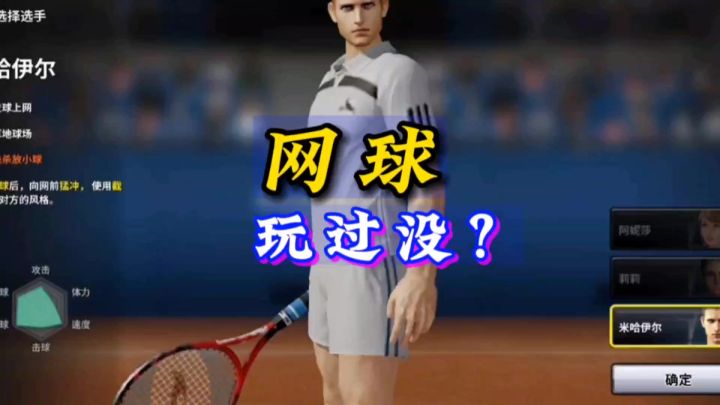 网球,打过没?反正国内很少截图