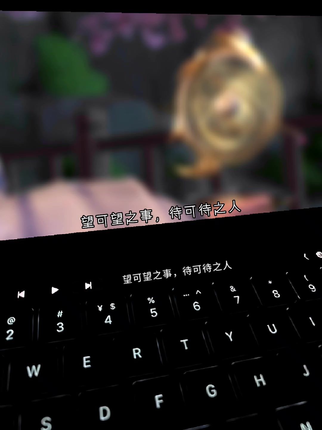 video-3593143