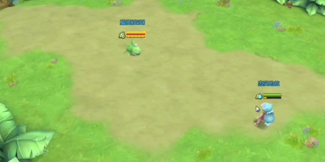 video-3593321