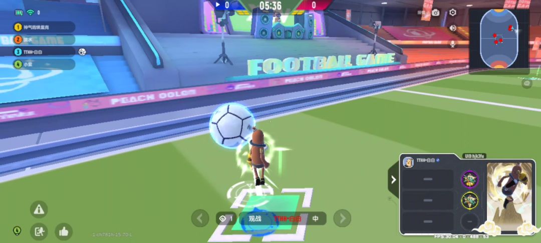 video-3594589