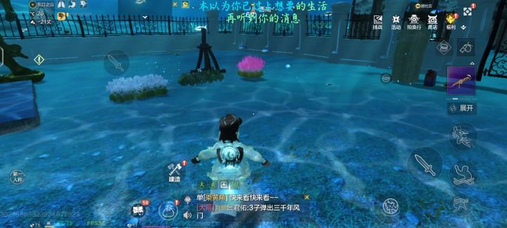花篮bug截图