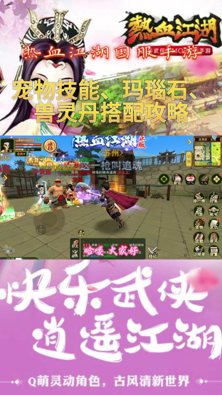 热血江湖手游:宠物技能、玛瑙石、兽灵丹搭配攻略截图