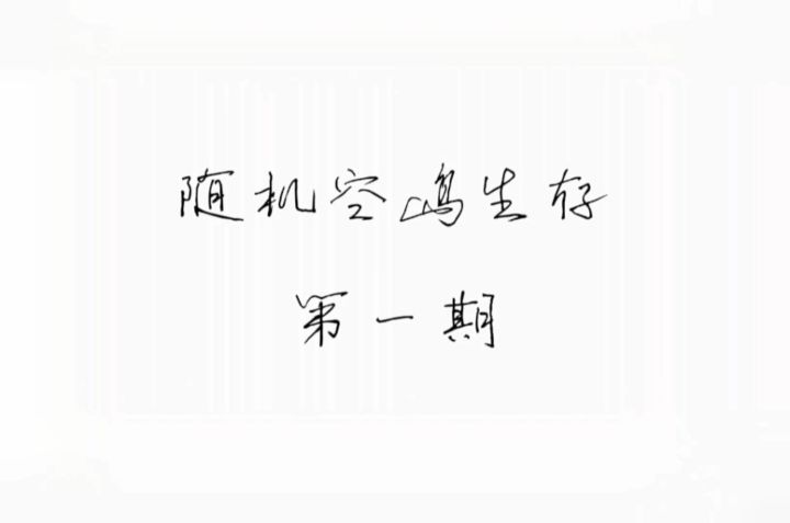 随机空岛第一期截图