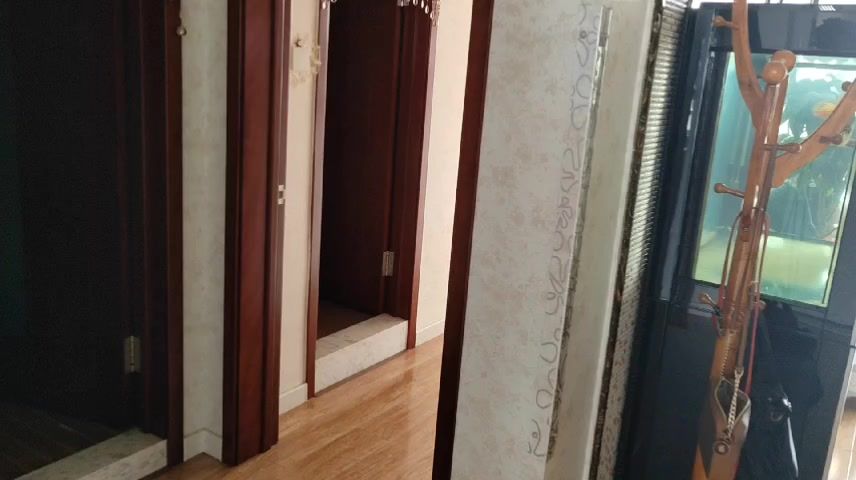 video-3601625