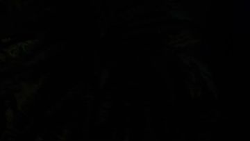 【荣耀全明星】技能详解-「侍魂者-炽光天使」