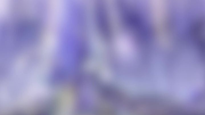语音前瞻 | 柔软如云的毛尾,是谁呢?截图