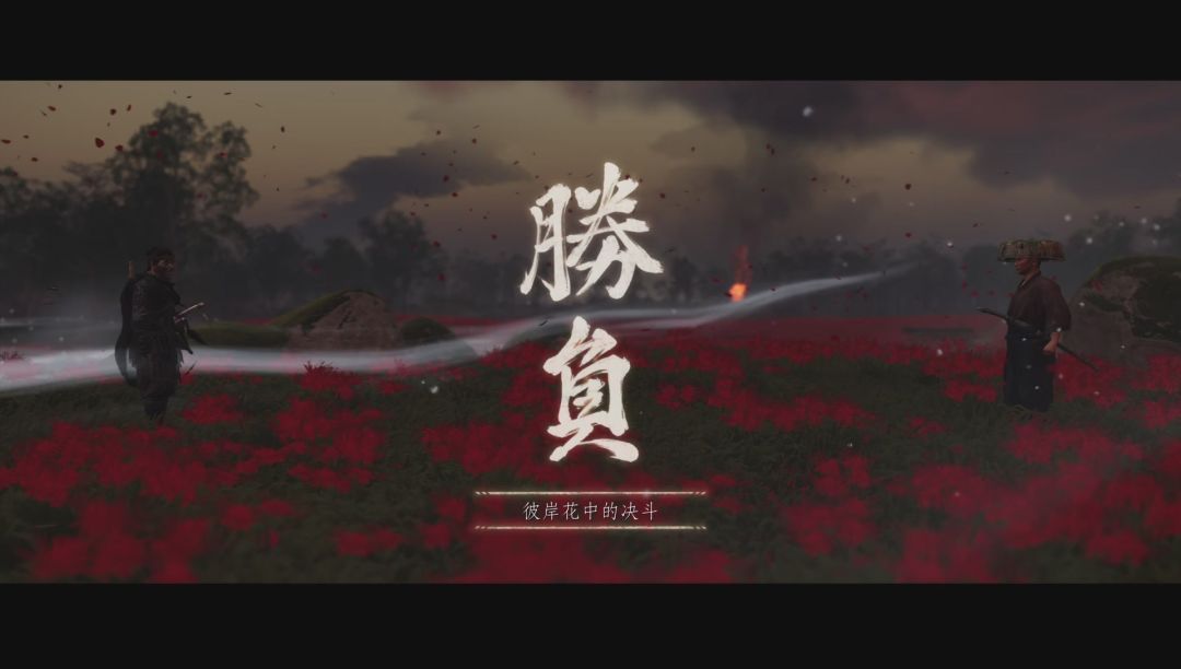 video-3634346