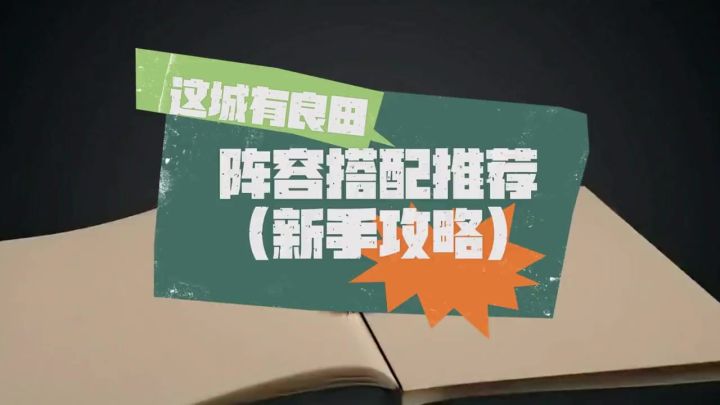 这城有良田,整容推荐她来了截图