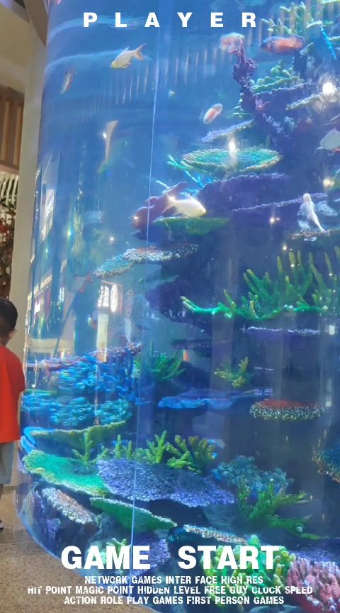 鱼的记忆只有七秒吗截图