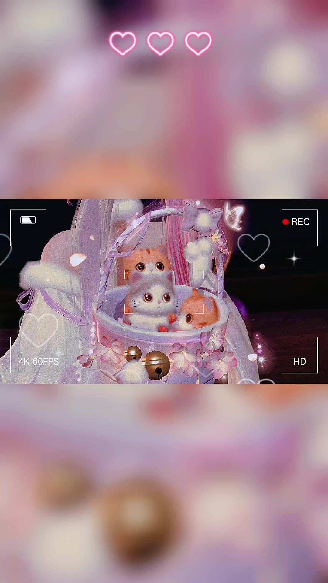 video-3648046