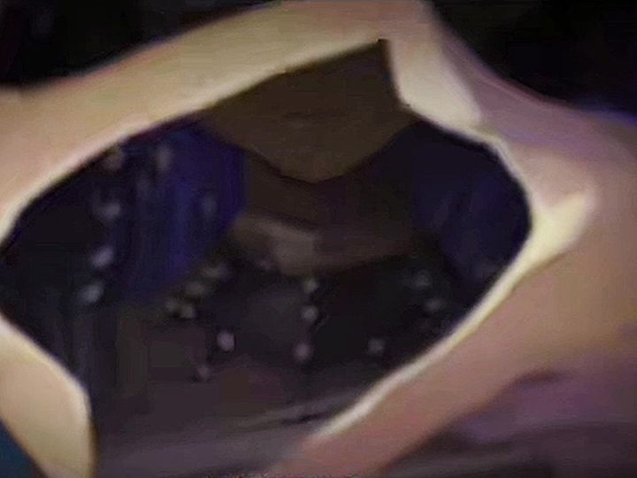新pv 剪啦！希望大家喜欢！截图