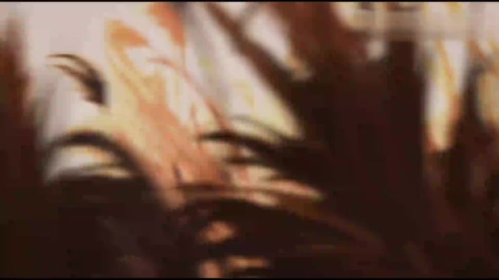 濒临绝境?看我放手一搏战全区!爆氪13W元挑战霸服率土之滨#4截图