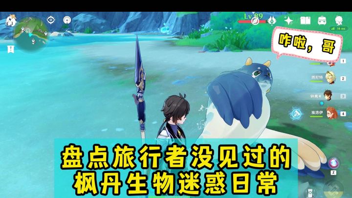 枫丹海域不养闲人……枫丹生物各个多才多艺截图